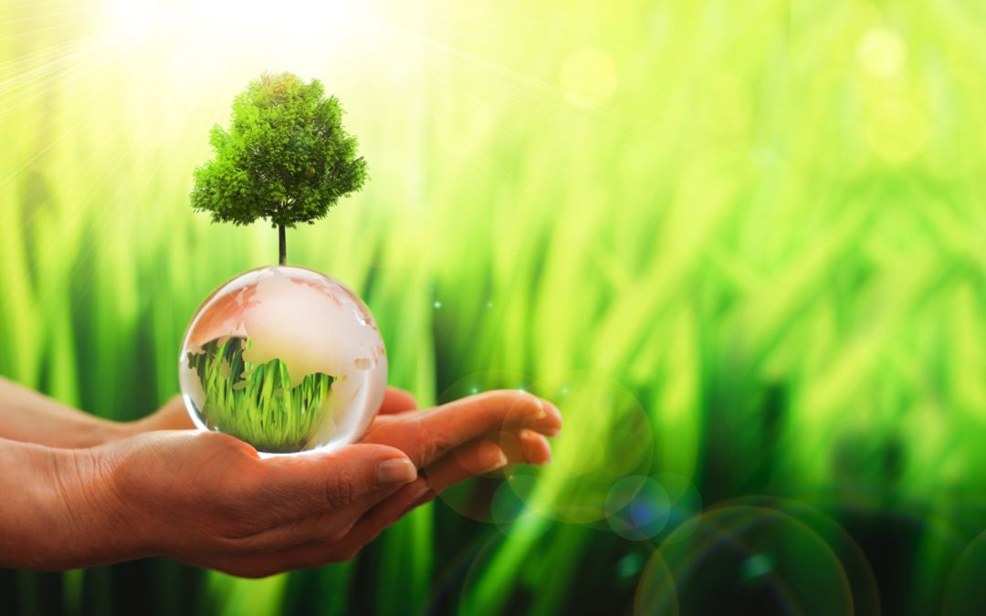 La produzione ecologica ed i vantaggi per le aziende